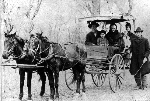 Wm T. Dedmon Buggy